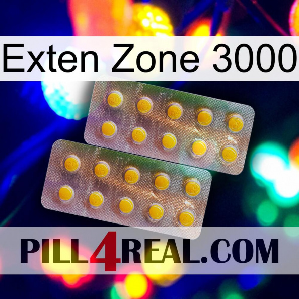 Exten Zone 3000 new10.jpg